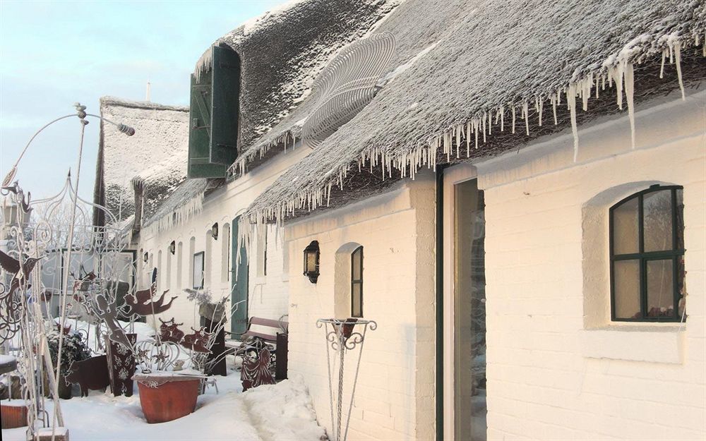 Hotel, Restaurant, Cafe Pharisaeerhof - Nordseeurlaub Mit Hund Nordstrand Exterior photo